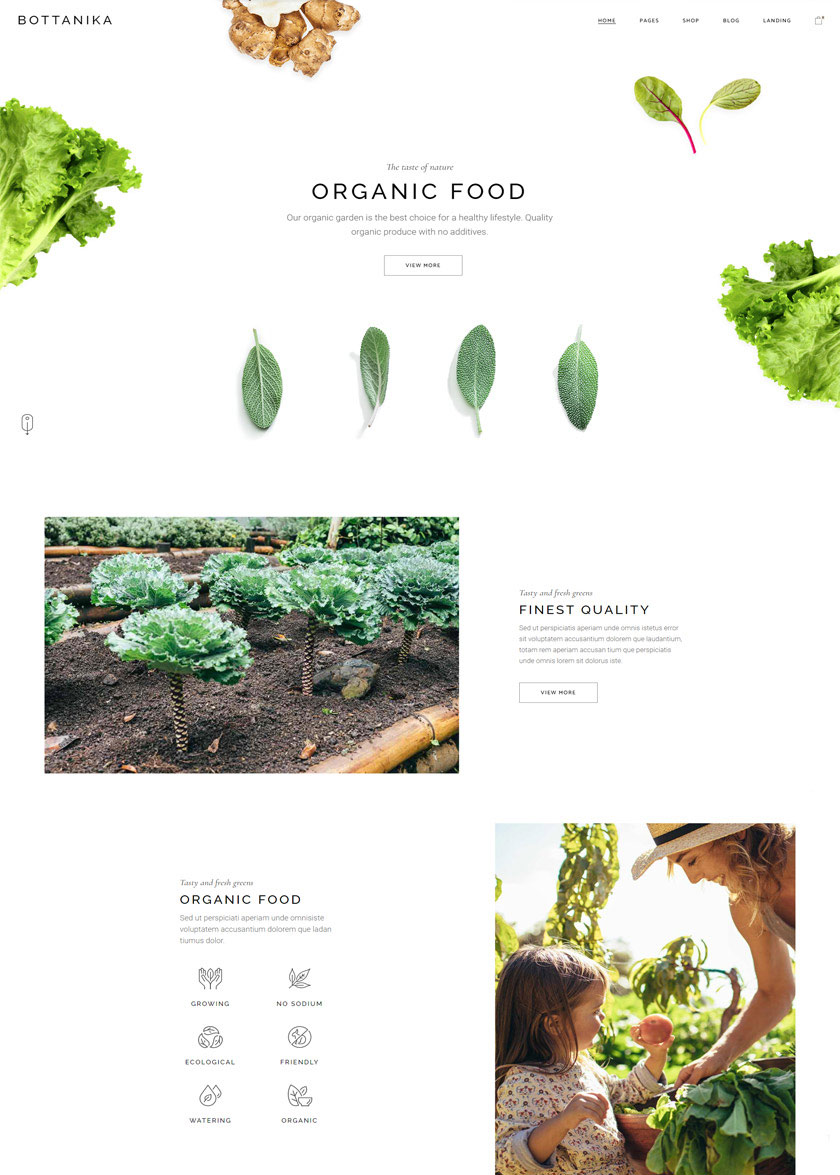Bottanika WordPress Template 1