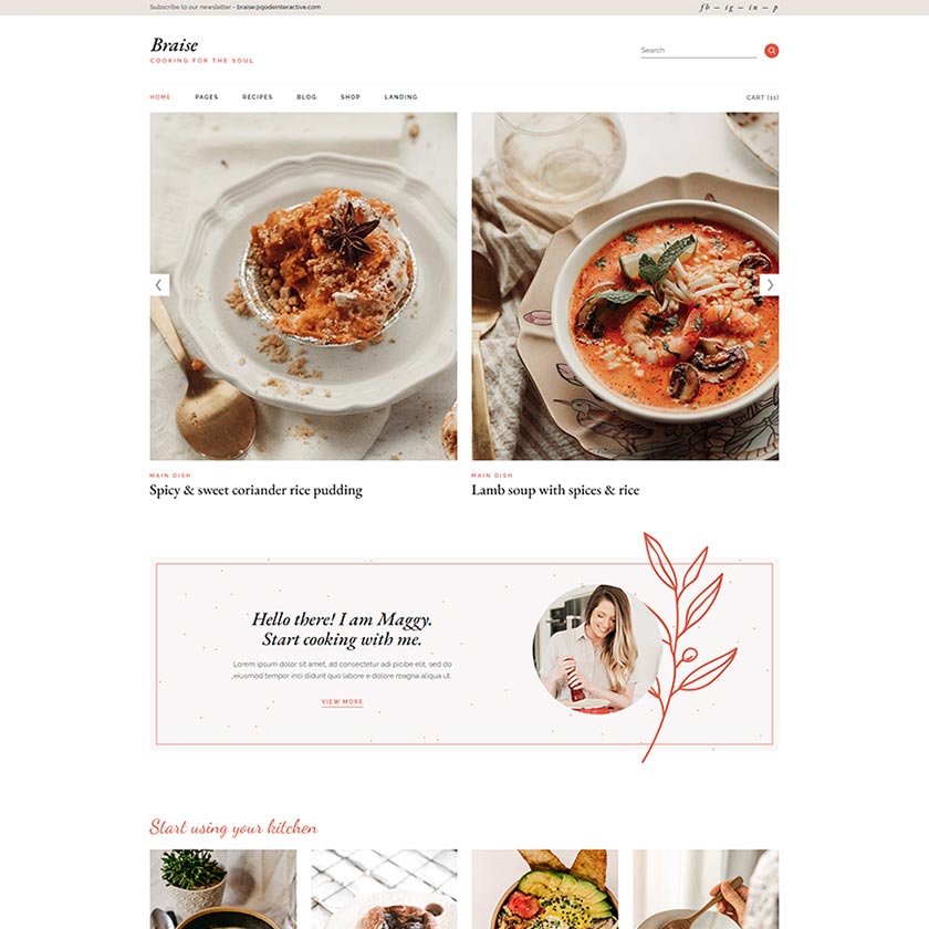 Braise WordPress Template 1