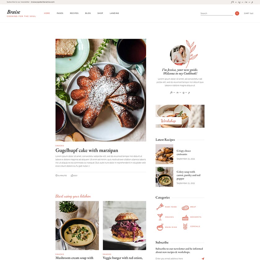 Braise WordPress Template 3