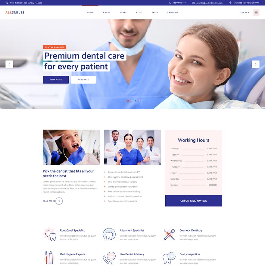 AllSmile WordPress Template 1