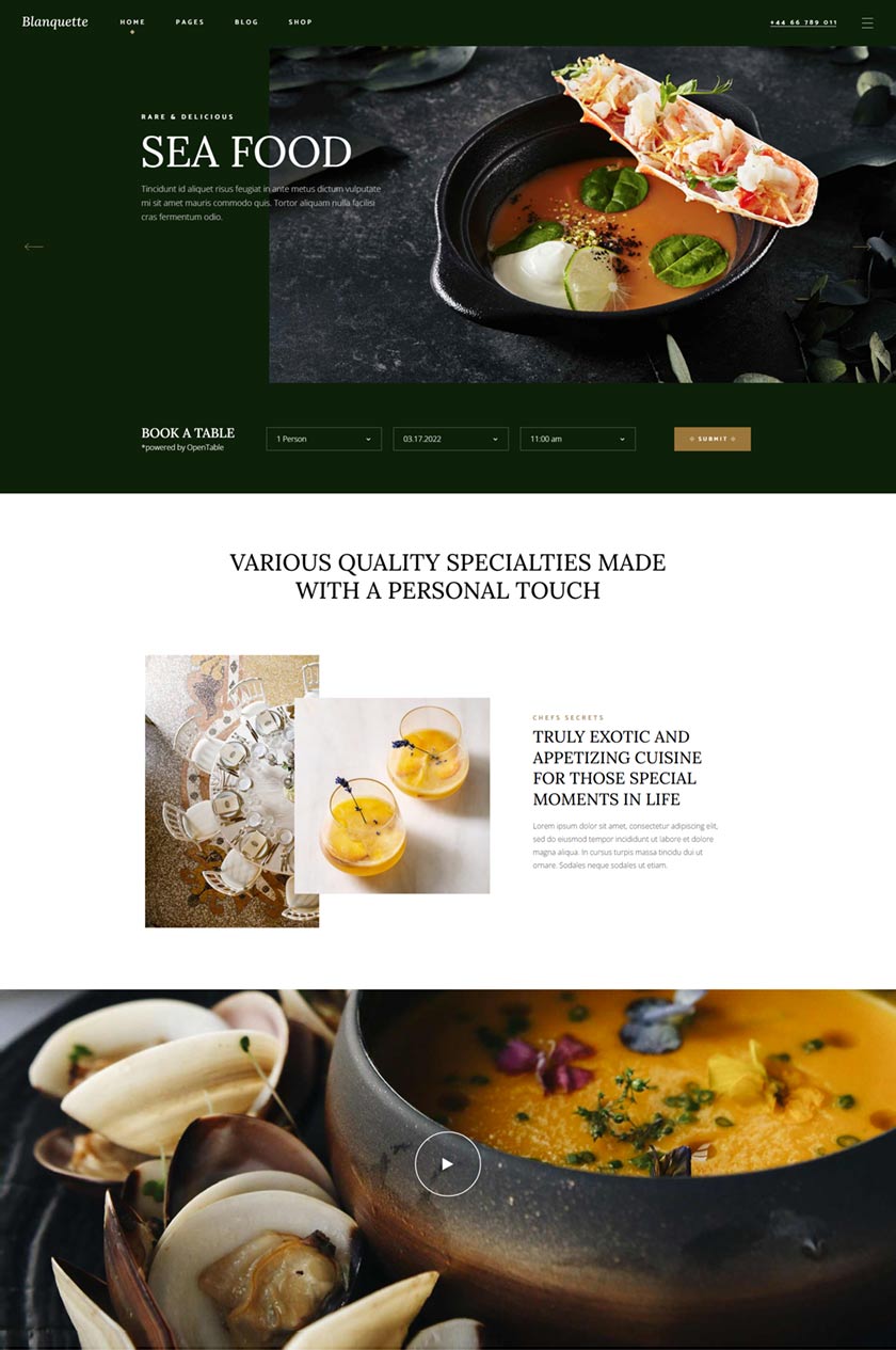 Blanquette WordPress Template 1