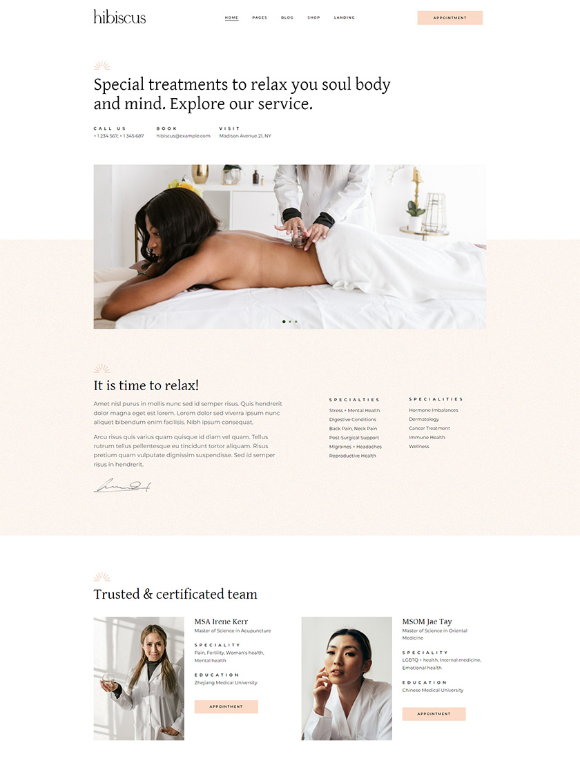 Hibiscus WordPress Theme Template 3