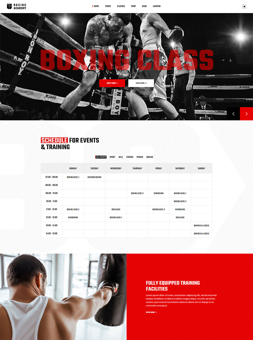 Knockout WordPress Template 2