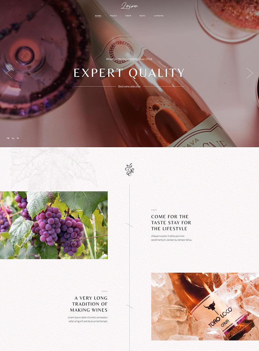 Loire wordpress template 3