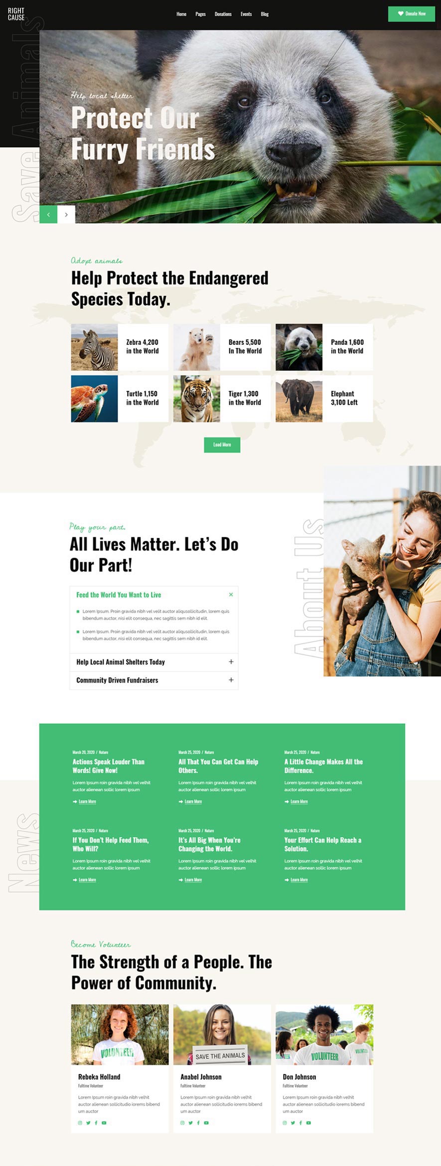 RightCause WordPress Template 2