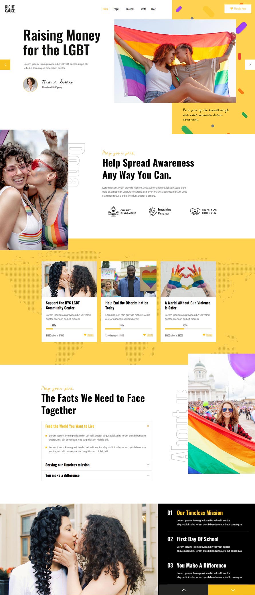 RightCause WordPress Template 3